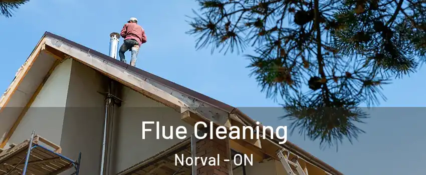  Flue Cleaning Norval - ON