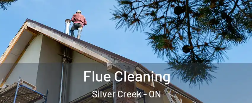  Flue Cleaning Silver Creek - ON