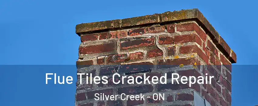  Flue Tiles Cracked Repair Silver Creek - ON
