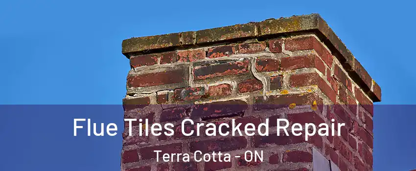  Flue Tiles Cracked Repair Terra Cotta - ON