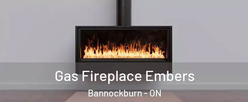  Gas Fireplace Embers Bannockburn - ON