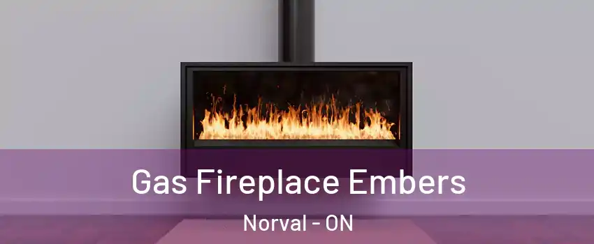  Gas Fireplace Embers Norval - ON
