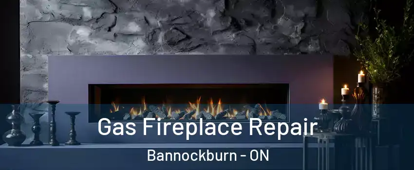  Gas Fireplace Repair Bannockburn - ON