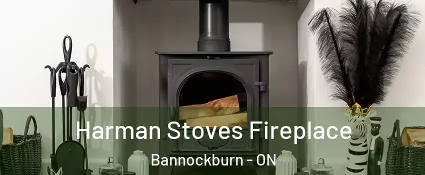  Harman Stoves Fireplace Bannockburn - ON