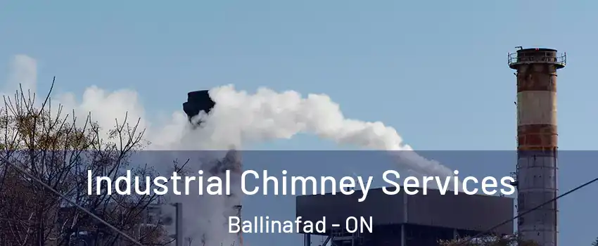  Industrial Chimney Services Ballinafad - ON