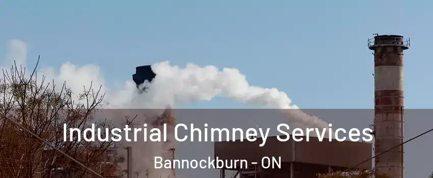  Industrial Chimney Services Bannockburn - ON
