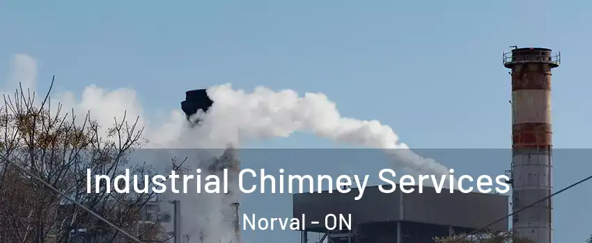  Industrial Chimney Services Norval - ON