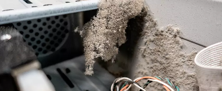 Clogged Dryer Vent Lint Cleaning in Halton Hills, Ontario