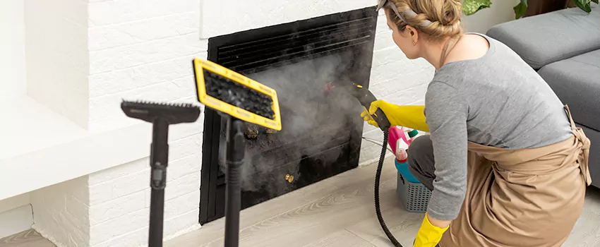 Fireplace Doors Cleaning in Halton Hills, Ontario