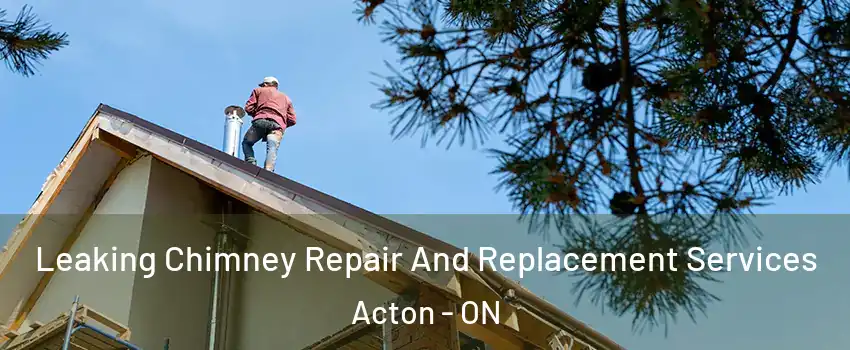  Leaking Chimney Repair And Replacement Services Acton - ON