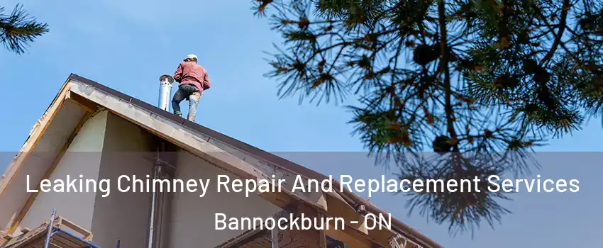  Leaking Chimney Repair And Replacement Services Bannockburn - ON