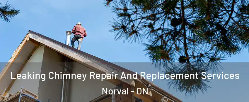 Leaking Chimney Repair And Replacement Services Norval - ON