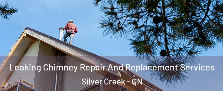  Leaking Chimney Repair And Replacement Services Silver Creek - ON