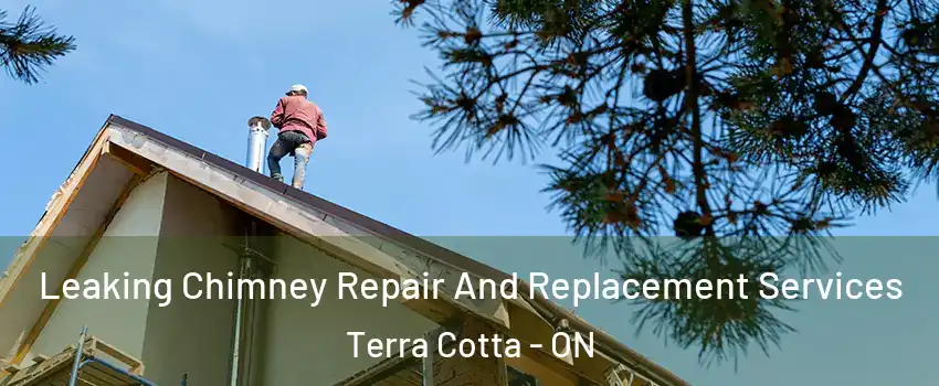  Leaking Chimney Repair And Replacement Services Terra Cotta - ON