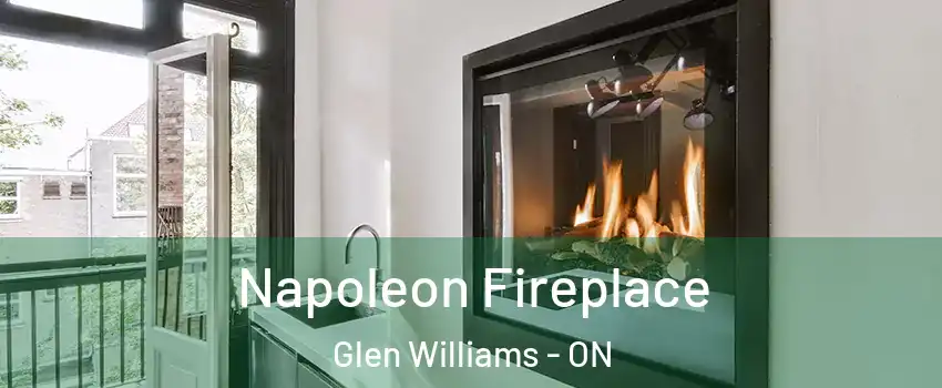  Napoleon Fireplace Glen Williams - ON