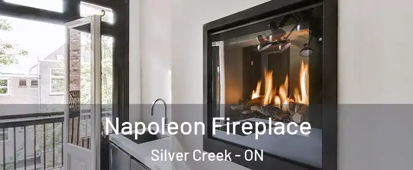  Napoleon Fireplace Silver Creek - ON