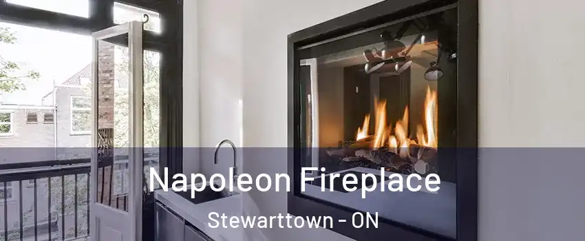  Napoleon Fireplace Stewarttown - ON