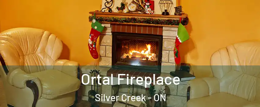  Ortal Fireplace Silver Creek - ON