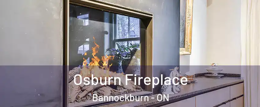  Osburn Fireplace Bannockburn - ON