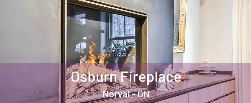  Osburn Fireplace Norval - ON
