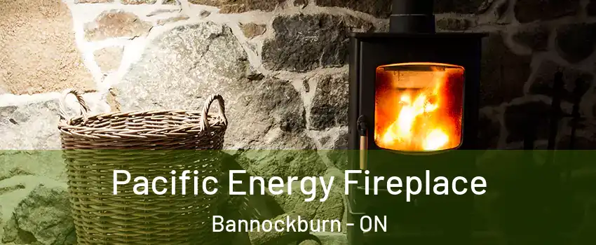  Pacific Energy Fireplace Bannockburn - ON