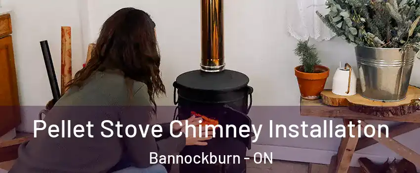  Pellet Stove Chimney Installation Bannockburn - ON