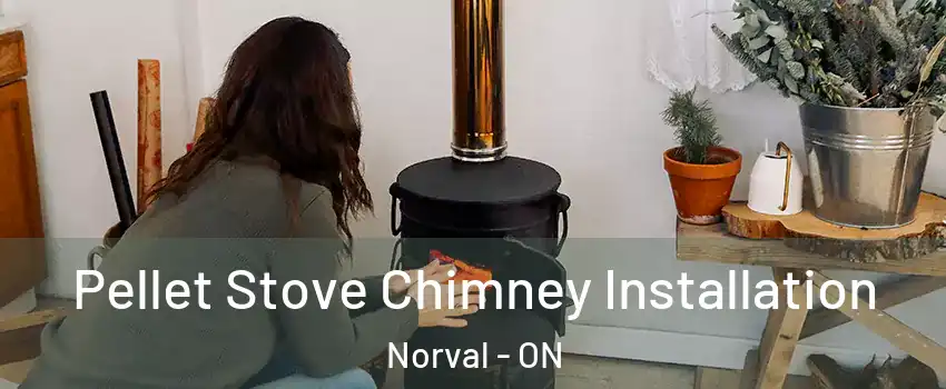  Pellet Stove Chimney Installation Norval - ON