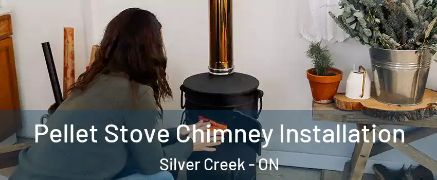  Pellet Stove Chimney Installation Silver Creek - ON
