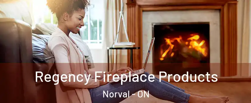  Regency Fireplace Products Norval - ON