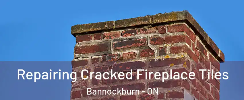  Repairing Cracked Fireplace Tiles Bannockburn - ON