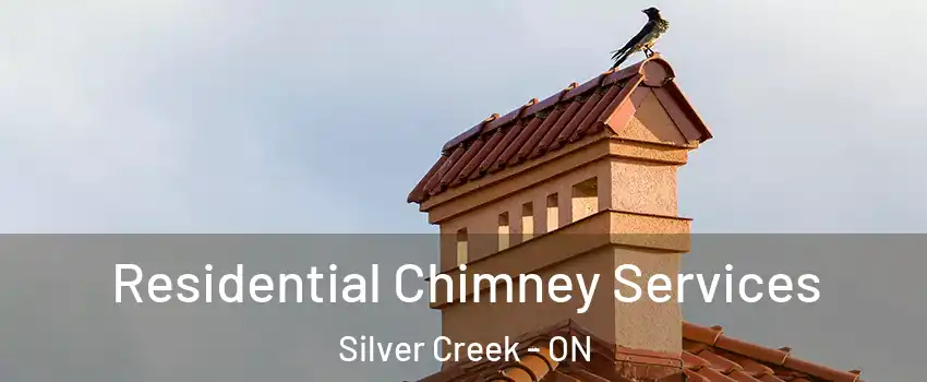  Residential Chimney Services Silver Creek - ON