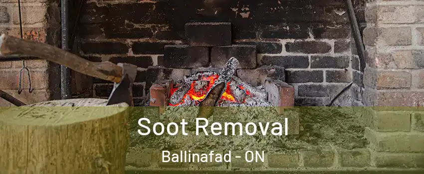  Soot Removal Ballinafad - ON