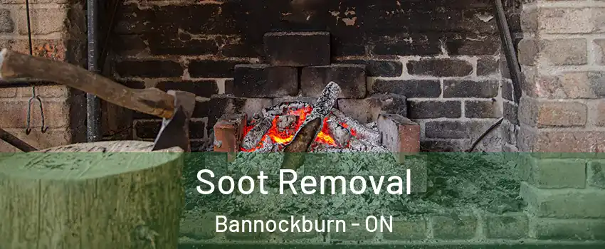  Soot Removal Bannockburn - ON
