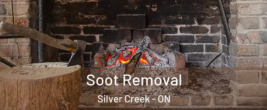  Soot Removal Silver Creek - ON