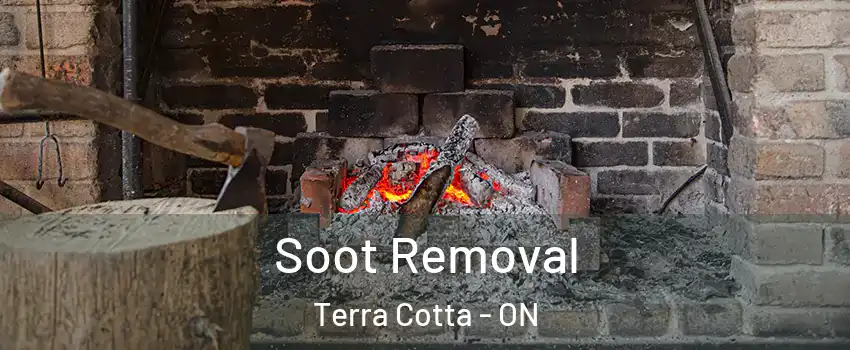  Soot Removal Terra Cotta - ON