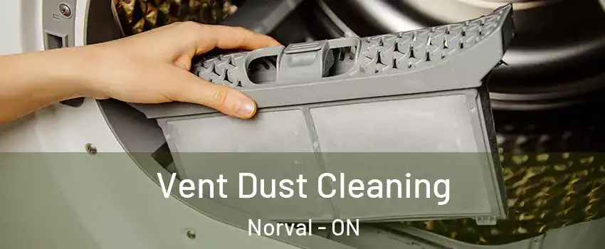  Vent Dust Cleaning Norval - ON