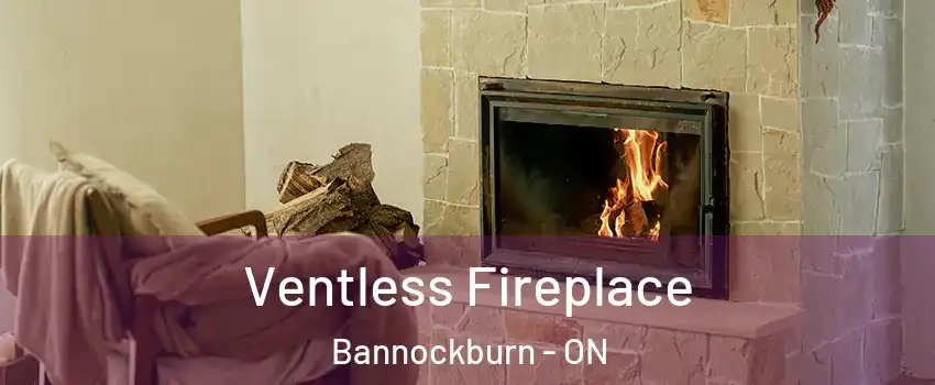  Ventless Fireplace Bannockburn - ON