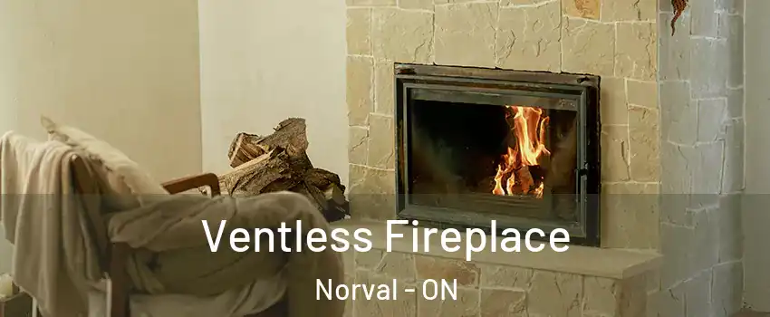  Ventless Fireplace Norval - ON
