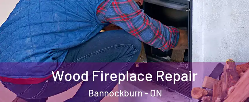  Wood Fireplace Repair Bannockburn - ON