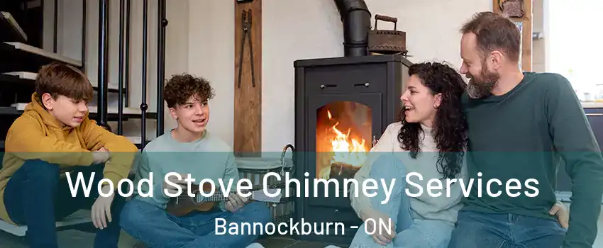  Wood Stove Chimney Services Bannockburn - ON