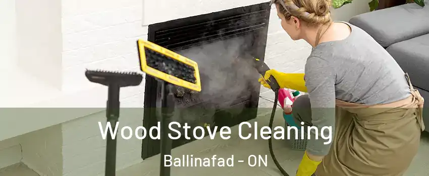  Wood Stove Cleaning Ballinafad - ON