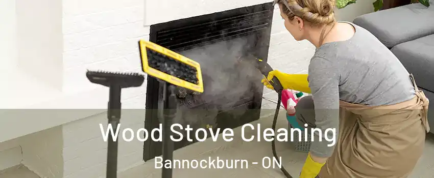  Wood Stove Cleaning Bannockburn - ON