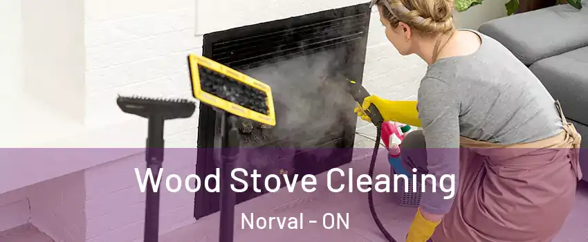  Wood Stove Cleaning Norval - ON