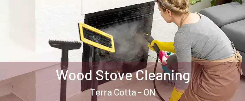  Wood Stove Cleaning Terra Cotta - ON